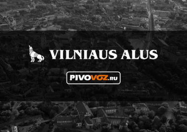 VILNIAUS ALUS